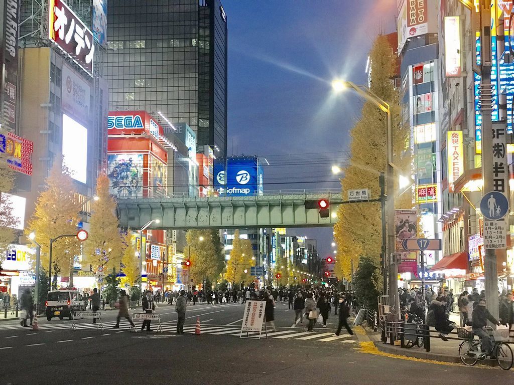 akiba.jpeg