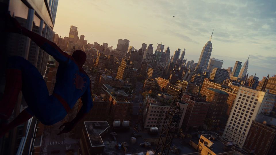 spider2.jpg